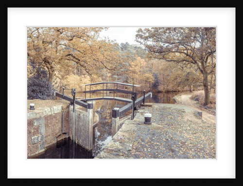 Canal lock by Assaf Frank